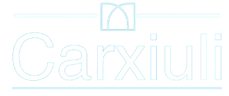 Carxiuli:Driving Excellence, One Service at a Time